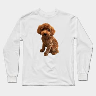 Mini Poodle Golden Doodle Long Sleeve T-Shirt